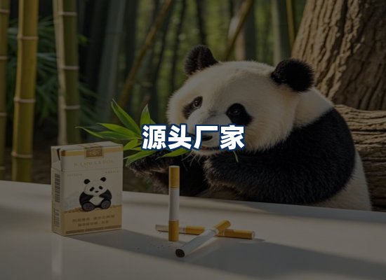专业团队办公环境